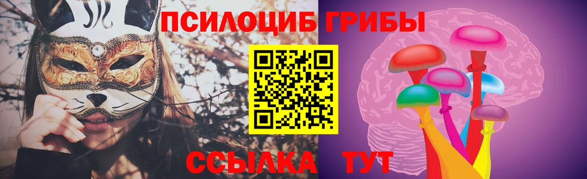что такое   Вход с VPN  Галлюциногенные грибы ЛСД  Вязьма  Псилоцибиновые грибы MAGIC MUSHROOMS 