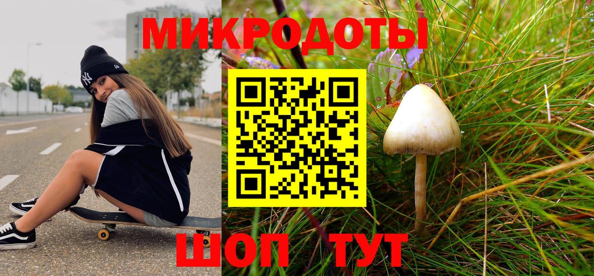 Галлюциногенные грибы мухоморы Вязьма